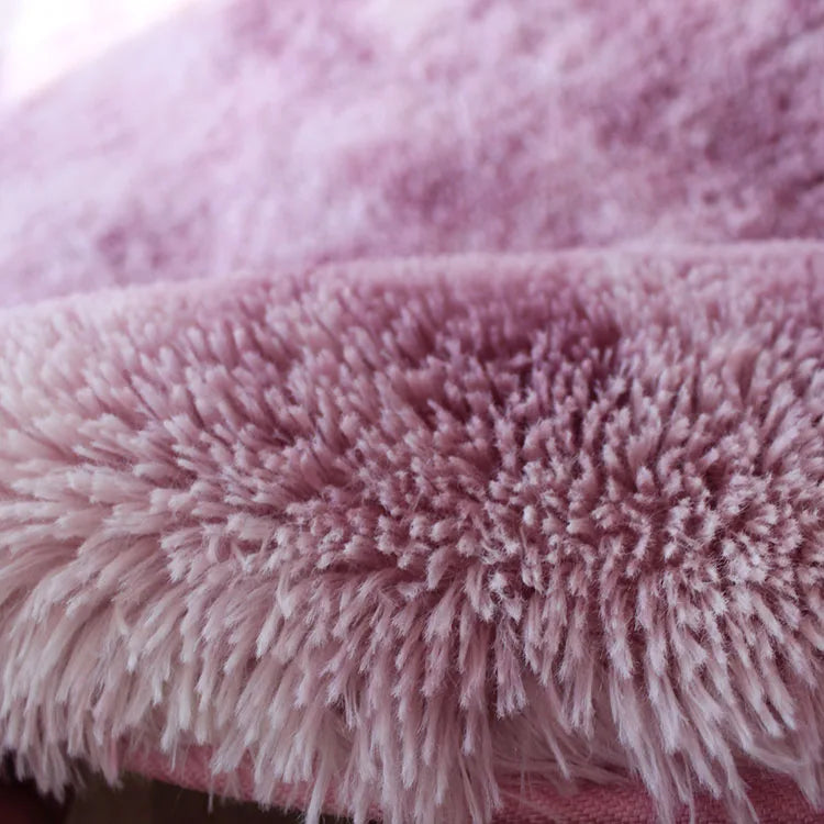 Plush Carpet For Living Room Sofa Floor Cushions Modern Soft Fluffy
