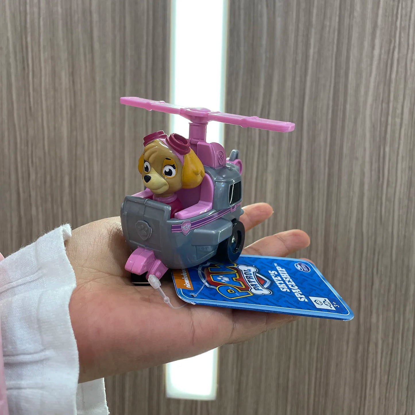Original Paw Patrol Racers Ryder Chase Mrshall Rubble Rocky Skye
