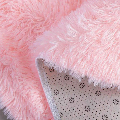 Plush Carpet For Living Room Sofa Floor Cushions  Modern Soft Fluffy
